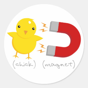 Küken-Magnet! Runder Aufkleber