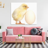 Küken mit Ei (2 Tage alt) Leinwanddruck (Insitu (Wohnzimmer))