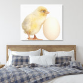 Küken mit Ei (2 Tage alt) Leinwanddruck (Insitu (Schlafzimmer))