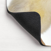 Küken mit Ei (2 Tage alt) Mousepad (Ecke)