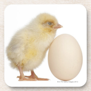 Küken mit Ei (2 Tage alt) Untersetzer