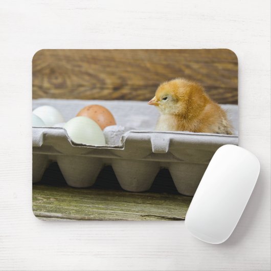 Küken mit Eiern im Karton Mousepad (Mit Mouse)