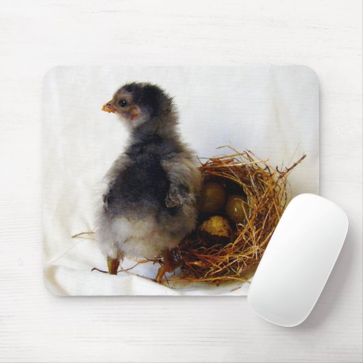 Küken mit Nest Mousepad (Mit Mouse)