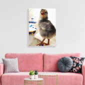 Küken mit Teacup Leinwanddruck (Insitu (Wohnzimmer))