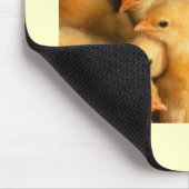 Küken Mousepad (Ecke)