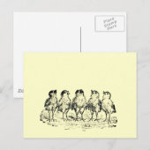 Küken Postkarte (Vorne/Hinten)