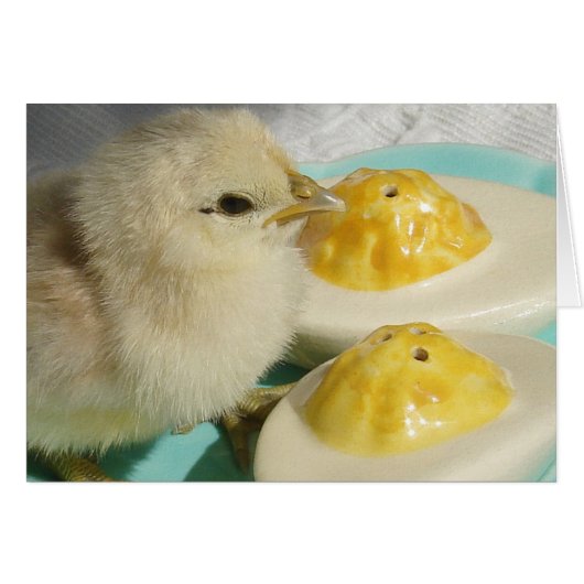 Küken und ausgewachsene Eier 2 (Vorderseite (Horizontal))