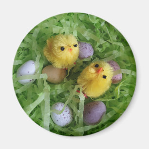 Küken und Eier Magnet
