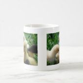 Küken und Enkeln Kaffeetasse (Mittel)