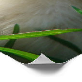 Küken und Enkeln Poster (Ecke)