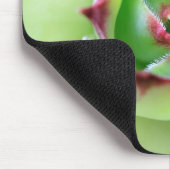 Küken und Hühner Schöne weiche grüne Farbe Mousepad (Ecke)