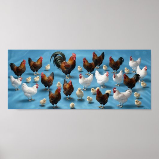 Küken- und Junghahnherde Poster (Vorne)