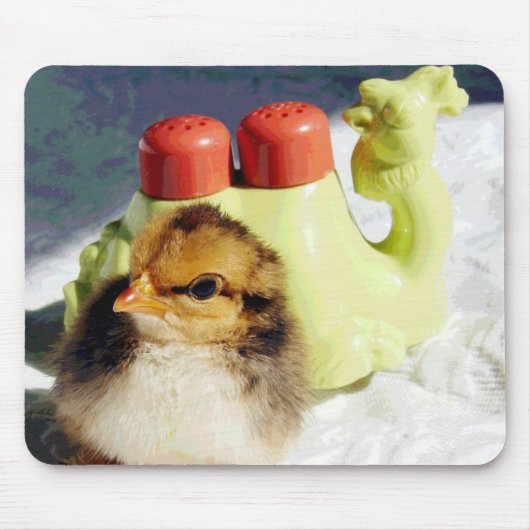 Küken und Kamel Mousepad (Vorne)
