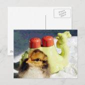 Küken und Kamel Postkarte (Vorne/Hinten)