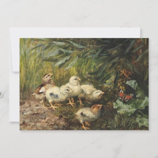 Küken und Schmetterlinge | Franz Xaver Birkinger (Vorderseite)