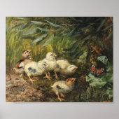 Küken und Schmetterlinge | Franz Xaver Birkinger Poster (Vorne)