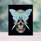 kull und Luna Moth — Memento Mori Impasto Poster (Neutral)