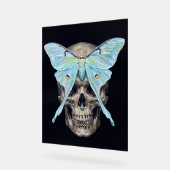 kull und Luna Moth — Memento Mori Impasto Poster (Winkel)