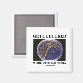 Kultivierte Arbeit mit Bakterien (Agar Plate) Magnet (Vorderseite/Rückseite)