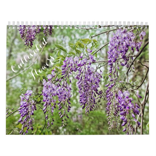 Kulturkalender für Blume Kalender (Titelbild)