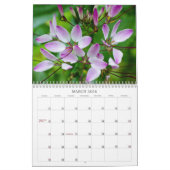 Kulturkalender für Blume Kalender (Mär 2026)