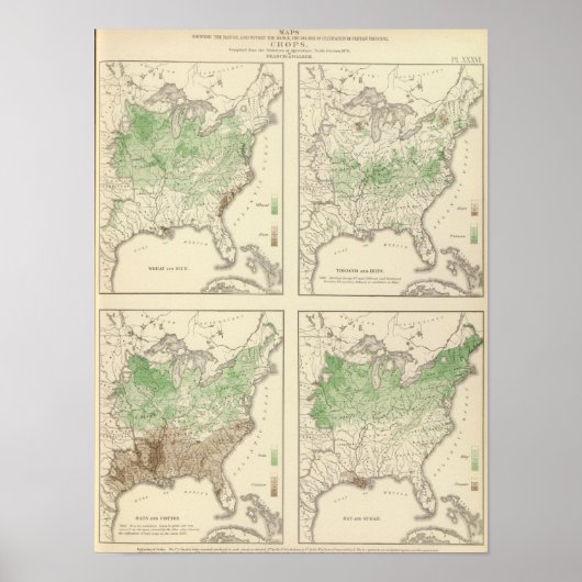 Kulturpflanzen, Statistischer US-Lithograph Poster (Vorne)