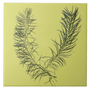 Kulturschatz des Sommers auf einer Keramik - B Fliese