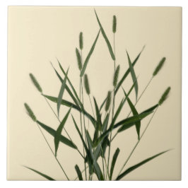 Kulturschätze des Sommers auf einer Keramik - A Fliese