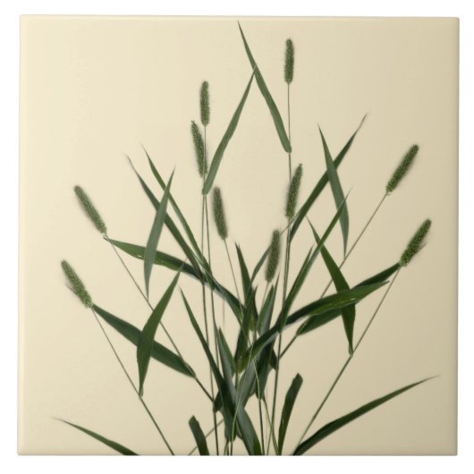 Kulturschätze des Sommers auf einer Keramik - A Fliese (Vorderseite)