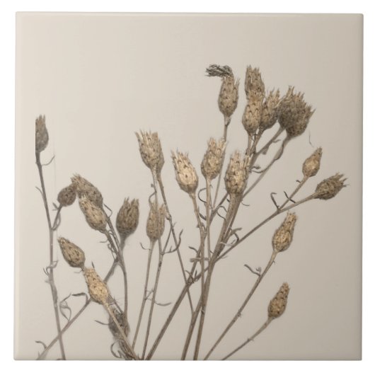 Kulturschätze des Winters auf einer Keramik - C Fliese (Vorderseite)