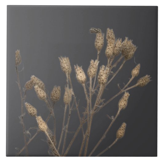 Kulturschätze des Winters auf einer Keramik - C Fliese (Vorderseite)