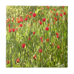 Kulturwiese Mohnlandschaft Fliese