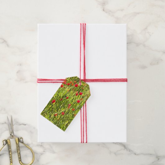 Kulturwiese Mohnlandschaft Geschenkanhänger (Mit Garn)