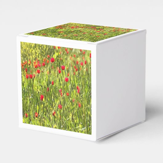 Kulturwiese Mohnlandschaft Geschenkschachtel (Vorderseite)