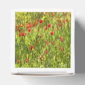 Kulturwiese Mohnlandschaft Geschenkschachtel (Oben)