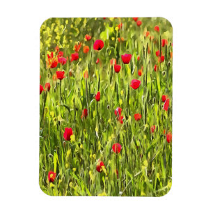 Kulturwiese Mohnlandschaft Magnet
