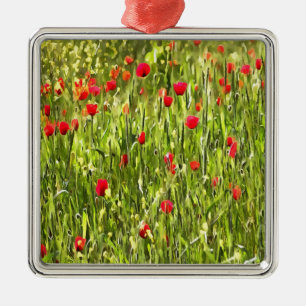Kulturwiese Mohnlandschaft Ornament Aus Metall
