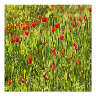 Kulturwiese Mohnlandschaft Poster