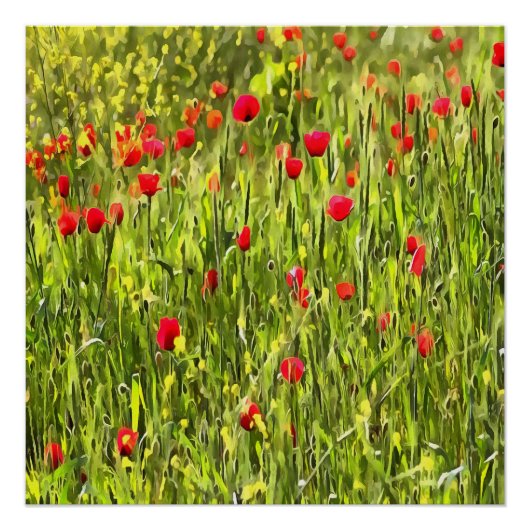 Kulturwiese Mohnlandschaft Poster (Vorderseite)