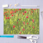 Kulturwiese Mohnlandschaft Seidenpapier (Handwerk)