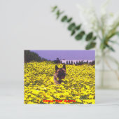 Kuma die Akita Postkarte (Stehend Vorderseite)