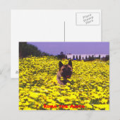 Kuma die Akita Postkarte (Vorne/Hinten)