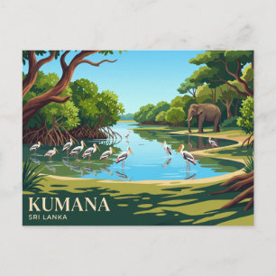 Kumana Nationalpark Sri Lanka Postkarte