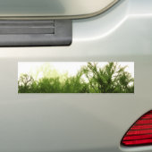 "Kümmern Sie sich um Wald" Autoaufkleber (Auf Auto)