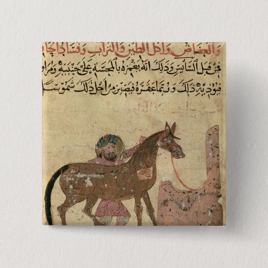 Kümmerte sich für das Pferd, Illustration Button (Vorderseite)