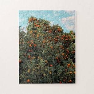 Kumquat Tree Puzzle