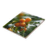 Kumquats auf der Zweigstelle Kumquat Tree Fliese (Seite)