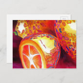 Kumquats-Zitrusfrüchte Postkarte (Vorne/Hinten)