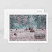 KUNDE SÜDDAKOTA - HERDE BISON WATERCOLOR POSTKARTE (Vorne/Hinten)