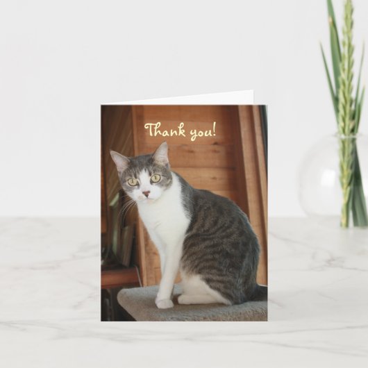 Kundengerecht danke (Vorderseite)